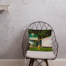 Load image into Gallery viewer, Basic Pillow